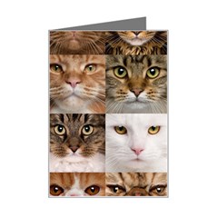 Breeds Of Cats Collage Mini Greeting Card from ArtsNow.com Left