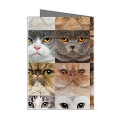 Breeds Of Cats Collage Mini Greeting Card from ArtsNow.com Right