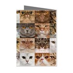 Breeds Of Cats Collage Mini Greeting Cards (Pkg of 8)