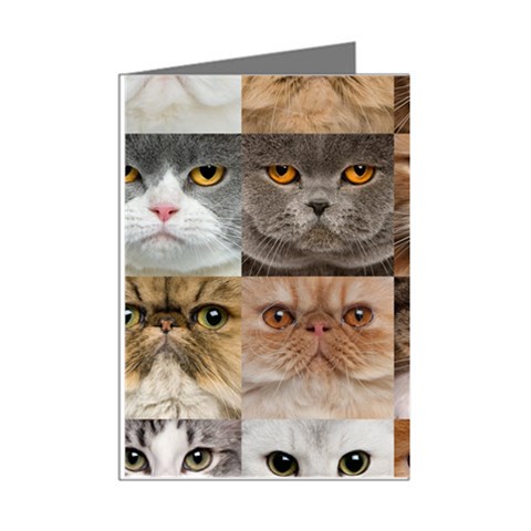 Breeds Of Cats Collage Mini Greeting Cards (Pkg of 8) from ArtsNow.com Right