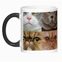 Breeds Of Cats Collage Morph Mug from ArtsNow.com Left