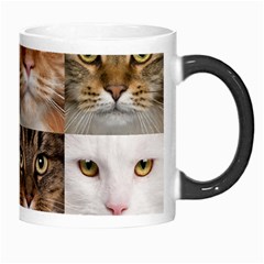 Breeds Of Cats Collage Morph Mug from ArtsNow.com Right