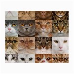 Breeds Of Cats Collage Small Glasses Cloth