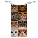 Breeds Of Cats Collage Jewelry Bag