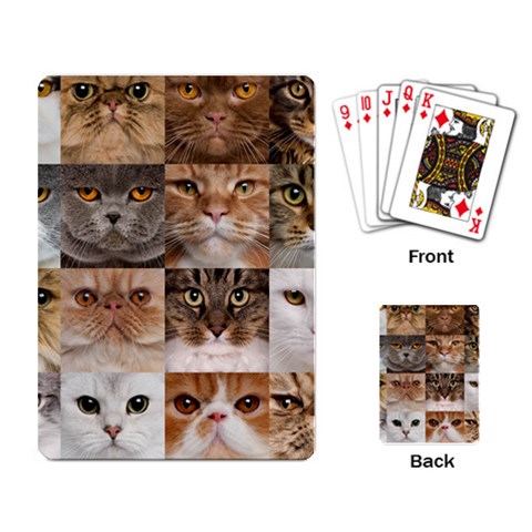 Breeds Of Cats Collage Playing Cards Single Design (Rectangle) from ArtsNow.com Back