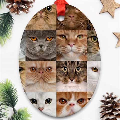 Breeds Of Cats Collage Oval Ornament (Two Sides) from ArtsNow.com Front