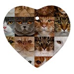 Breeds Of Cats Collage Heart Ornament (Two Sides)