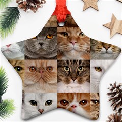 Breeds Of Cats Collage Star Ornament (Two Sides) from ArtsNow.com Back