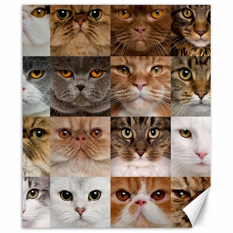 Breeds Of Cats Collage Canvas 8  x 10  from ArtsNow.com 8.15 x9.66  Canvas - 1