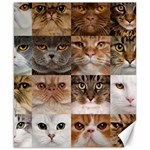 Breeds Of Cats Collage Canvas 8  x 10 