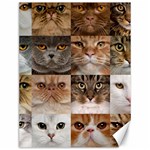 Breeds Of Cats Collage Canvas 12  x 16 