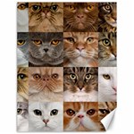 Breeds Of Cats Collage Canvas 18  x 24 