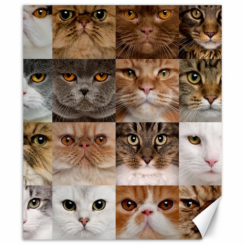 Breeds Of Cats Collage Canvas 20  x 24  from ArtsNow.com 19.57 x23.15  Canvas - 1