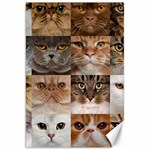 Breeds Of Cats Collage Canvas 20  x 30 