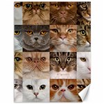 Breeds Of Cats Collage Canvas 36  x 48 