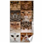 Breeds Of Cats Collage Canvas 40  x 72 