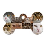 Breeds Of Cats Collage Dog Tag Bone (One Side)