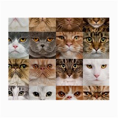 Breeds Of Cats Collage Small Glasses Cloth (2 Sides) from ArtsNow.com Front