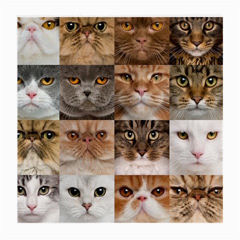 Breeds Of Cats Collage Medium Glasses Cloth from ArtsNow.com Front