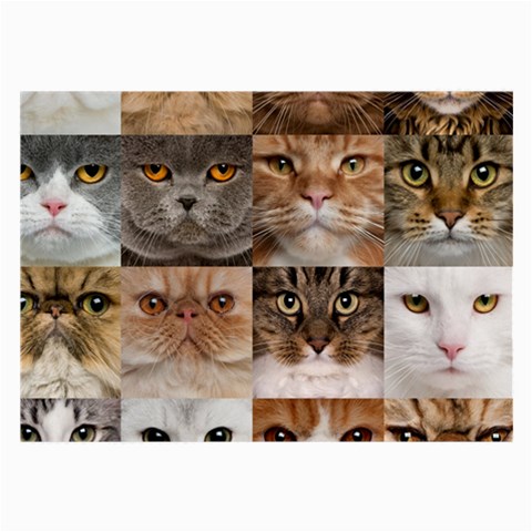 Breeds Of Cats Collage Large Glasses Cloth from ArtsNow.com Front