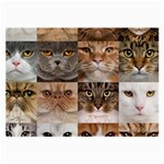 Breeds Of Cats Collage Large Glasses Cloth