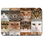 Breeds Of Cats Collage Large Doormat