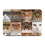 Breeds Of Cats Collage Plate Mats