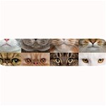 Breeds Of Cats Collage Large Bar Mat