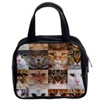 Breeds Of Cats Collage Classic Handbag (Two Sides)