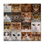 Breeds Of Cats Collage Face Towel