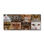 Breeds Of Cats Collage Hand Towel