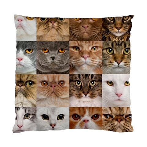 Breeds Of Cats Collage Standard Cushion Case (One Side) from ArtsNow.com Front