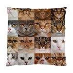 Breeds Of Cats Collage Standard Cushion Case (One Side)