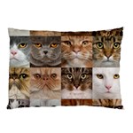 Breeds Of Cats Collage Pillow Case