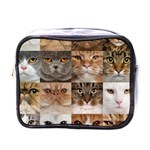 Breeds Of Cats Collage Mini Toiletries Bag (One Side)