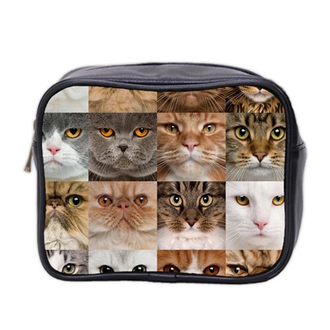 Breeds Of Cats Collage Mini Toiletries Bag (Two Sides) from ArtsNow.com Front