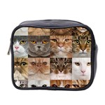 Breeds Of Cats Collage Mini Toiletries Bag (Two Sides)