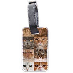 Breeds Of Cats Collage Luggage Tag (two sides) from ArtsNow.com Back