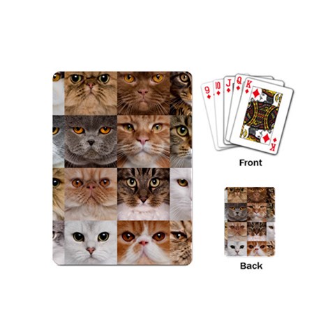 Breeds Of Cats Collage Playing Cards Single Design (Mini) from ArtsNow.com Back