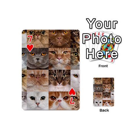 Breeds Of Cats Collage Playing Cards 54 Designs (Mini) from ArtsNow.com Front - Heart7