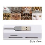 Breeds Of Cats Collage Memory Card Reader (Stick)