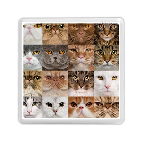 Breeds Of Cats Collage Memory Card Reader (Square) from ArtsNow.com Front