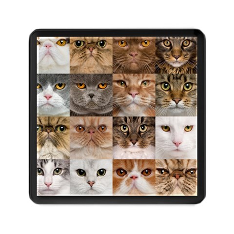 Breeds Of Cats Collage Memory Card Reader (Square) from ArtsNow.com Front