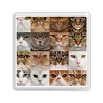 Breeds Of Cats Collage Memory Card Reader (Square)