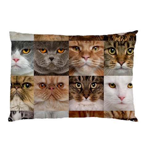 Breeds Of Cats Collage Pillow Case (Two Sides) from ArtsNow.com Front