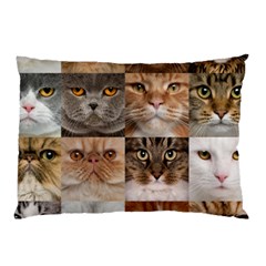 Breeds Of Cats Collage Pillow Case (Two Sides) from ArtsNow.com Front