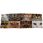 Breeds Of Cats Collage Body Pillow Case (Dakimakura)