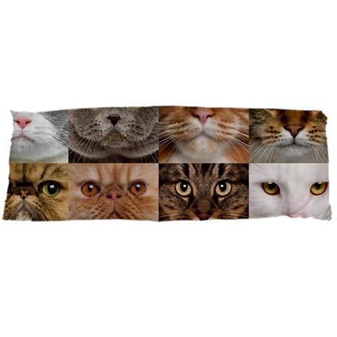 Breeds Of Cats Collage Body Pillow Case Dakimakura (Two Sides) from ArtsNow.com Front