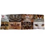 Breeds Of Cats Collage Body Pillow Case Dakimakura (Two Sides)