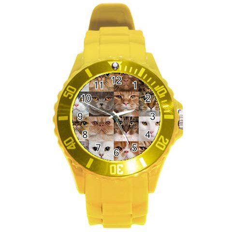 Breeds Of Cats Collage Round Plastic Sport Watch (L) from ArtsNow.com Front